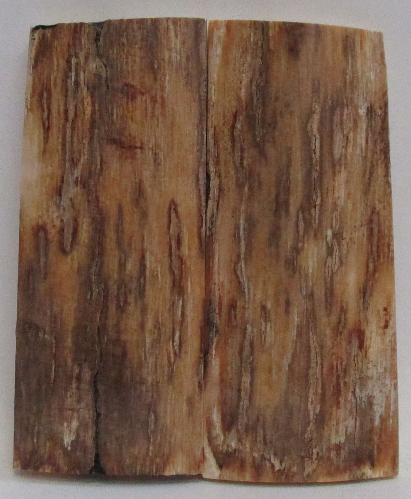 MAMMOTH IVORY SCALES 2-7/16 x 1 x 5/32