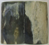 MAMMOTH IVORY SCALES 2-13/16 x 1-9/16 x 1/4