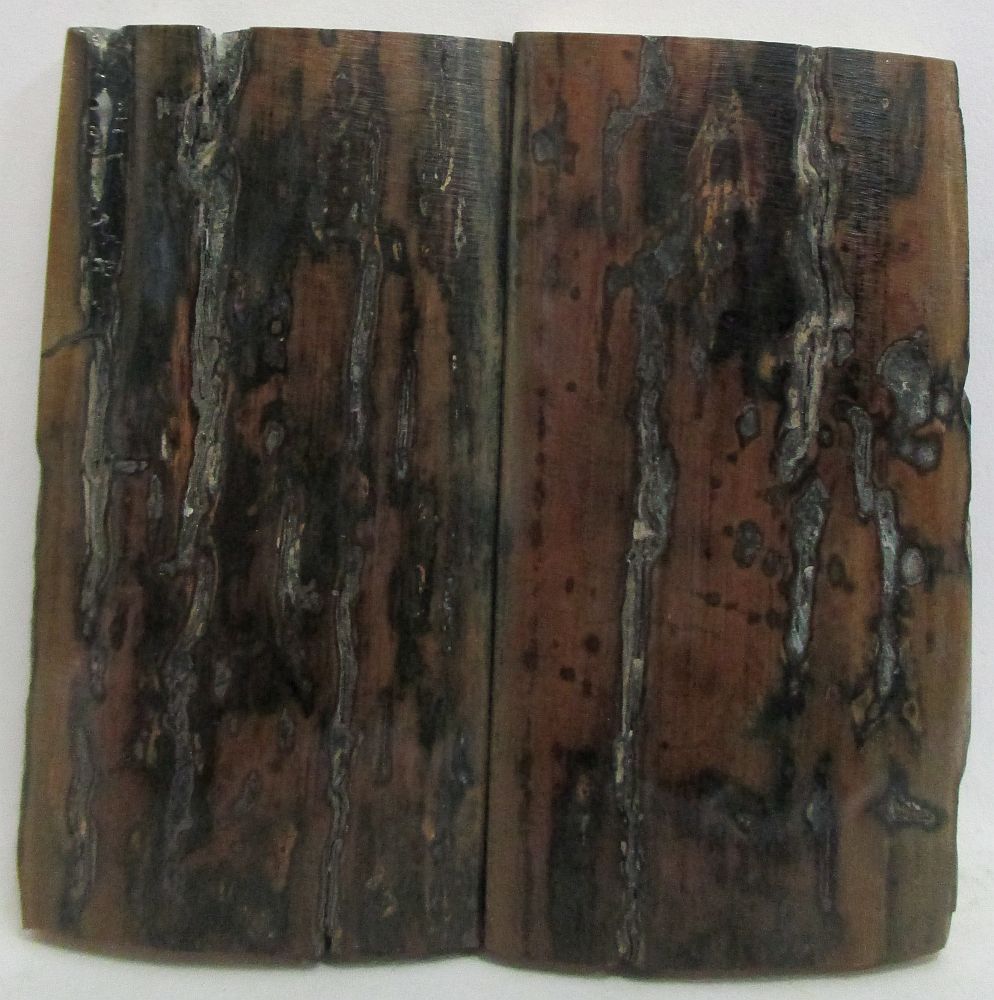 MAMMOTH IVORY SCALES 2-1/8 x 1-1/16 x 5/32