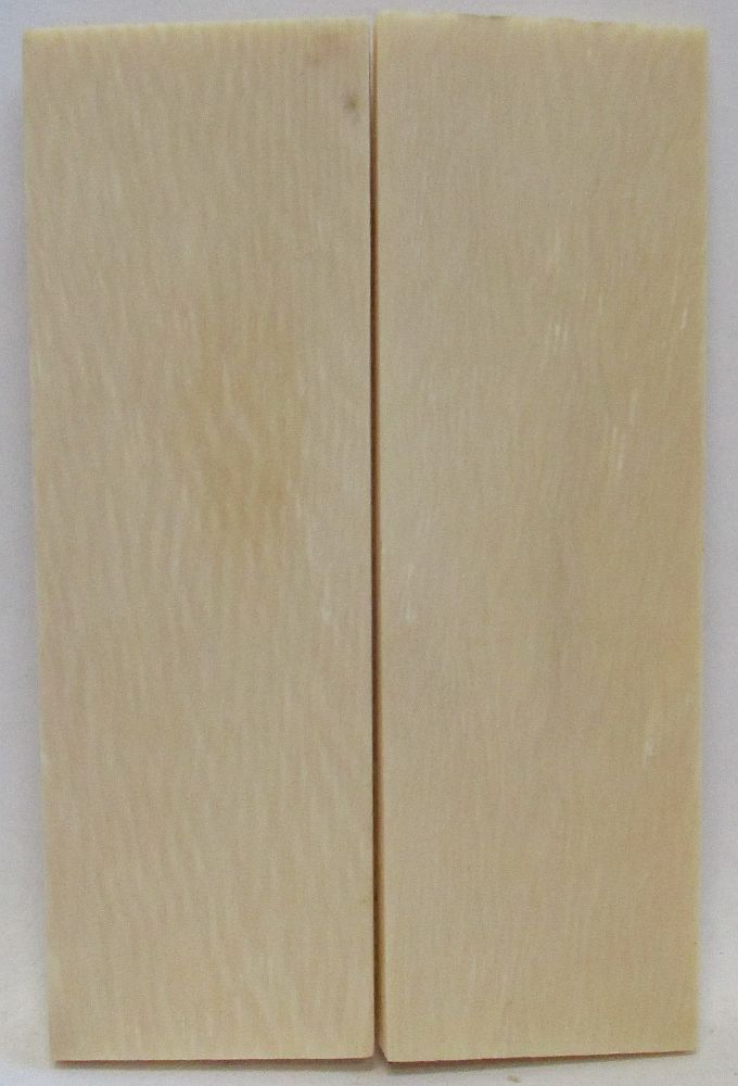 INTERIOR IVORY 2-7/8 x 7/8 x 1/16