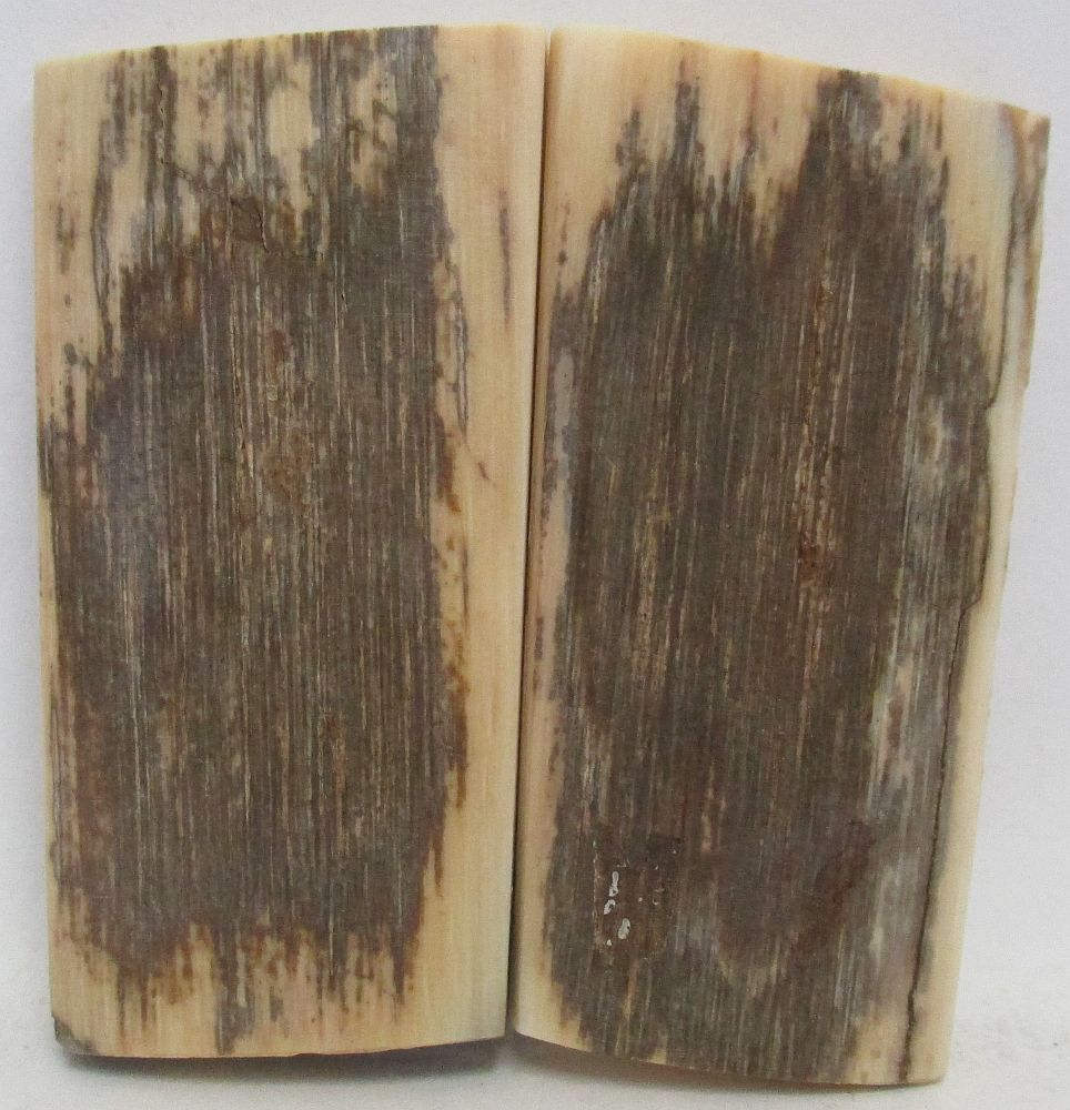 MAMMOTH IVORY SCALES 2-1/16 x 15/16 to 1 x 5/32
