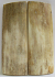 MAMMOTH IVORY SCALES 2-1/2 x 7/8 x 5/32