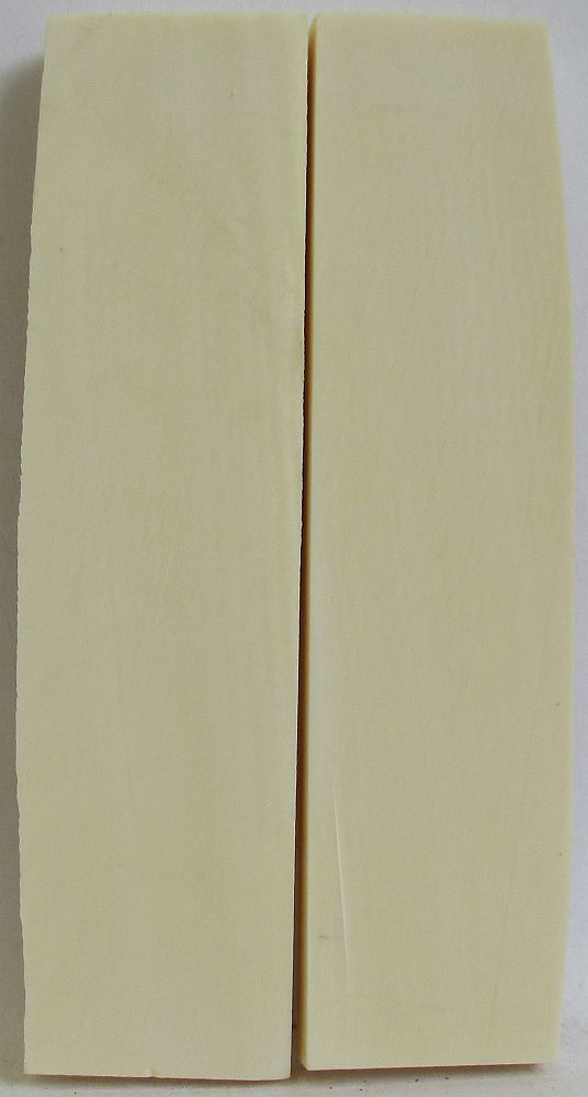 INTERIOR IVORY 2-3/4 x 11/16 x 1/8