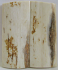 MAMMOTH IVORY SCALES 2-9/16 x 1-1/8 x 1/8