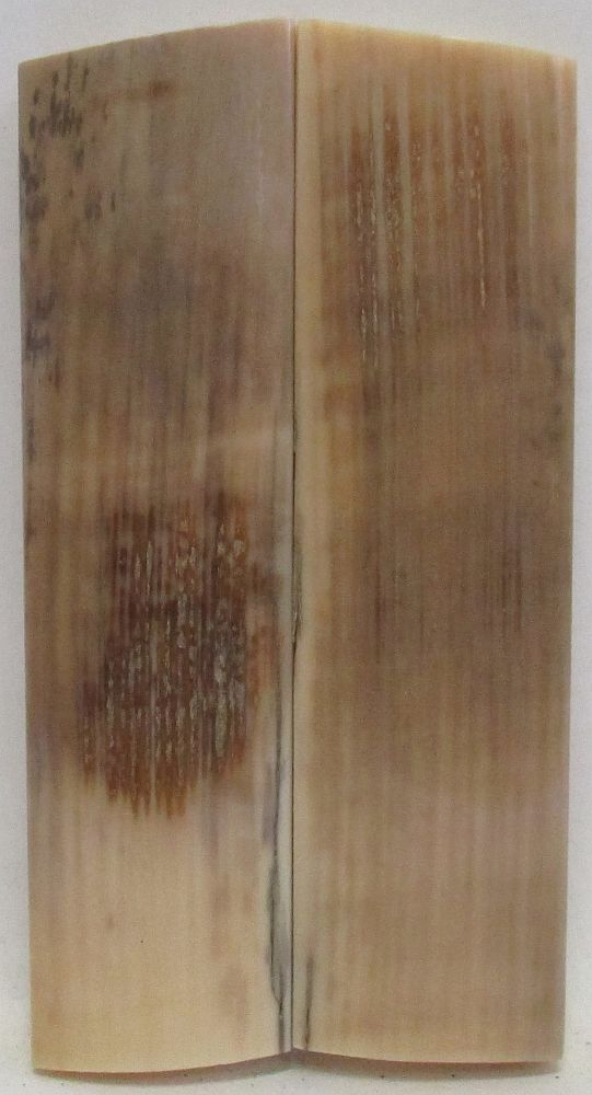 MAMMOTH IVORY SCALES 2-5/8 x 11-16 x 1/8