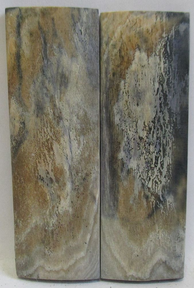 MAMMOTH IVORY SCALES 2-7/16 x 3/4 x 1/16