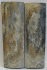 MAMMOTH IVORY SCALES 2-7/16 x 3/4 x 1/16