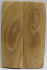MAMMOTH IVORY SCALES 2-9/16 x 13/16 x 1/16