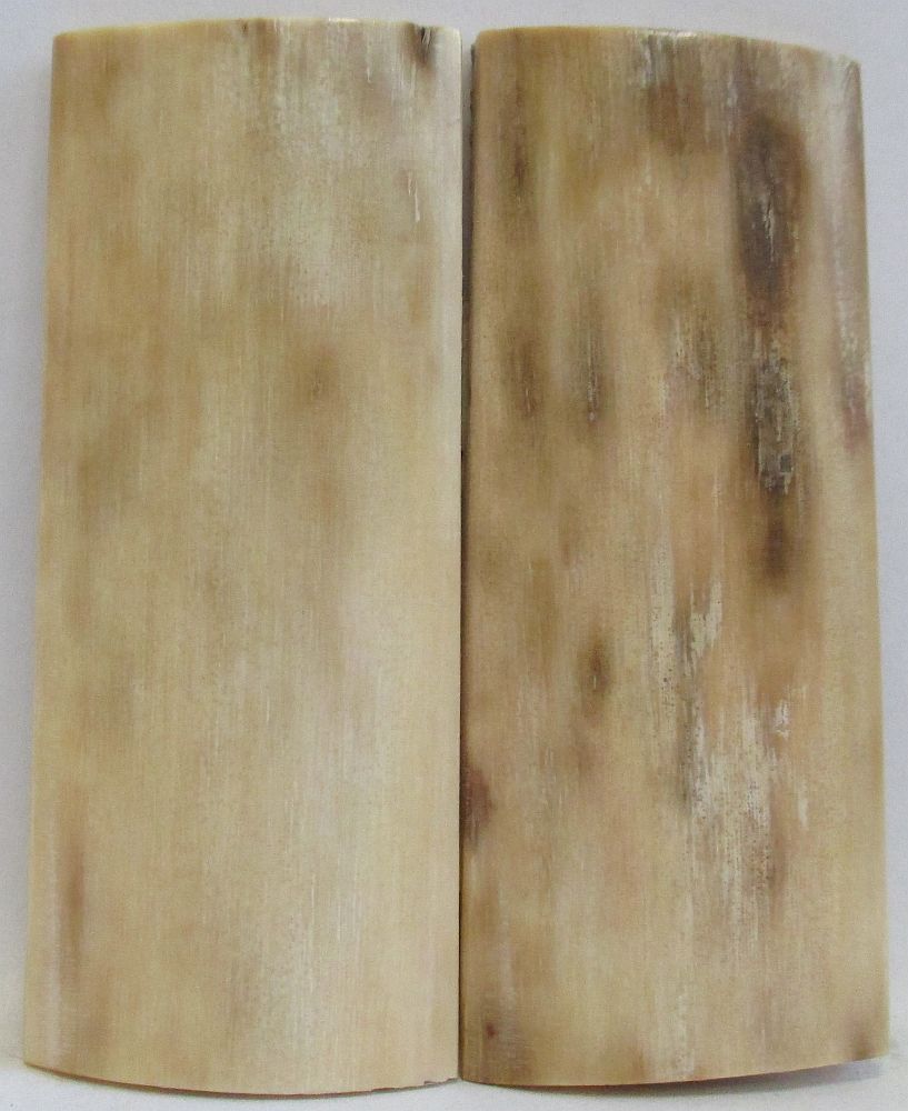MAMMOTH IVORY SCALES 2-3/4 x 1-1/16 x 3/16
