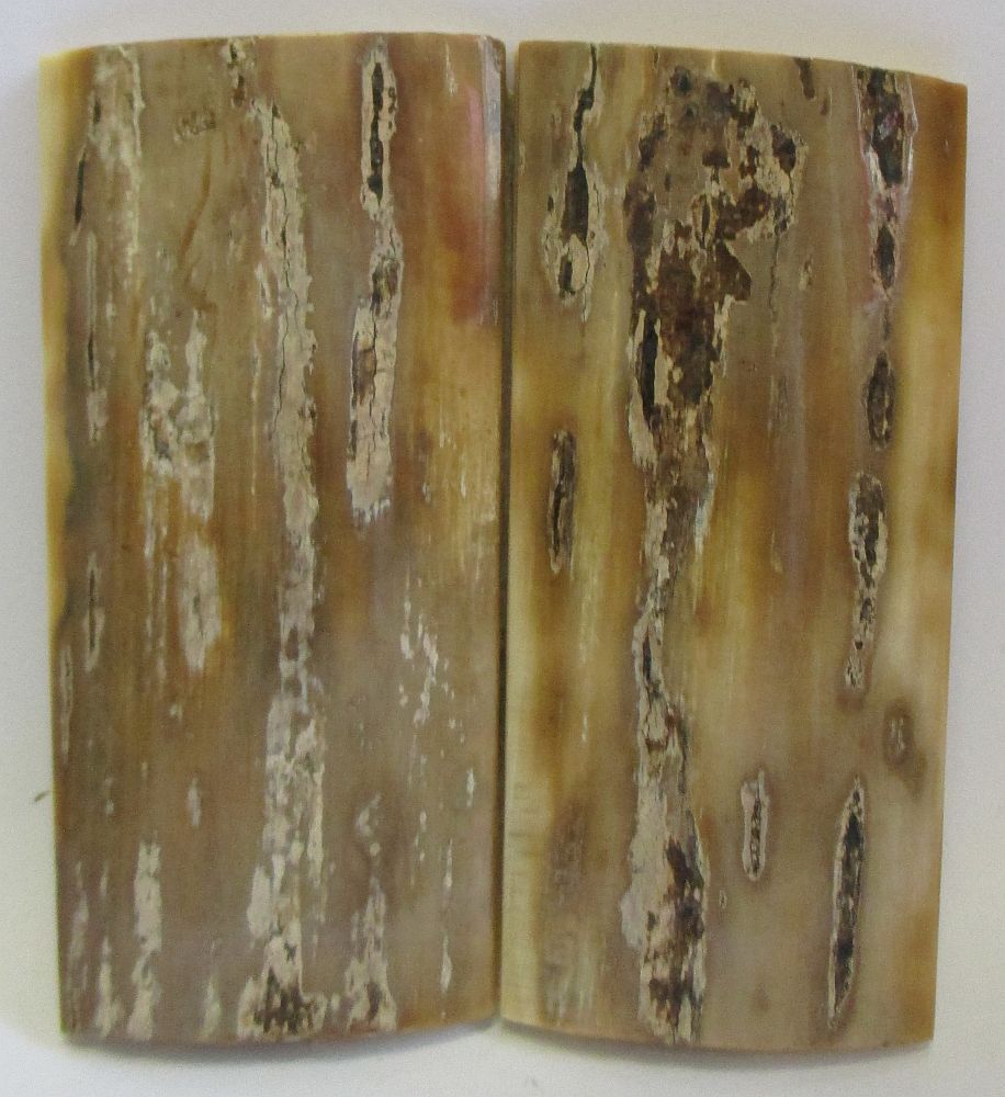 MAMMOTH IVORY SCALES 2-3/8 x 1 to 1-1/8 x 5/32