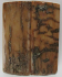 MAMMOTH IVORY SCALES 2-1/2 x 15/16 to 1 x 1/8