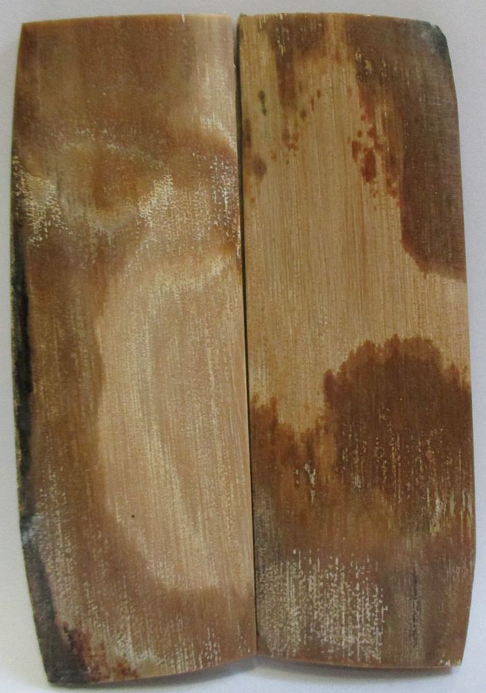 MAMMOTH IVORY SCALES 3-1/8 x 1 x 1/8