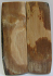 MAMMOTH IVORY SCALES 3-1/8 x 1 x 1/8