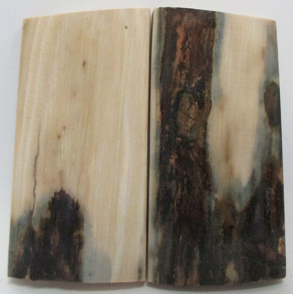 MAMMOTH IVORY SCALES 2-1/4 x 1-1/8 x 3/16