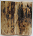 MAMMOTH IVORY SCALES 2-3/8 x 1-1/8 x 3/16