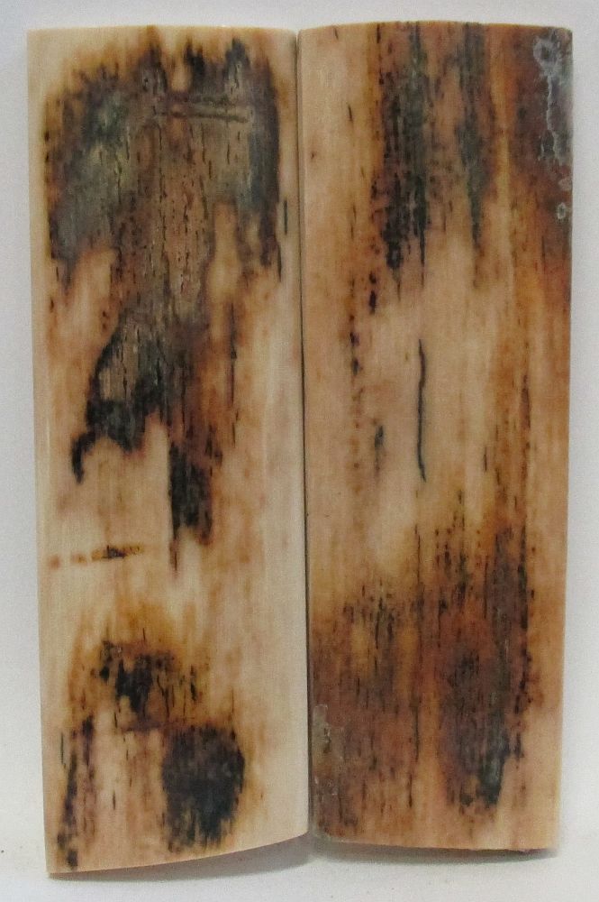 MAMMOTH IVORY SCALES 2-13/16 x 15/16 x 1/8
