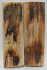 MAMMOTH IVORY SCALES 2-13/16 x 15/16 x 1/8