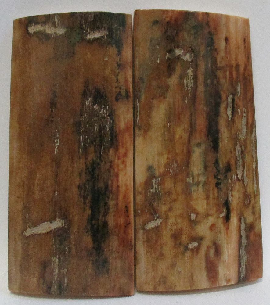 MAMMOTH IVORY SCALES 2-11/16 x 1-3/16 x 1/8 