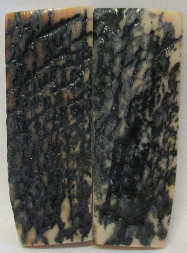 MAMMOTH IVORY SCALES 2-1/4 x 11/16 x 3/16