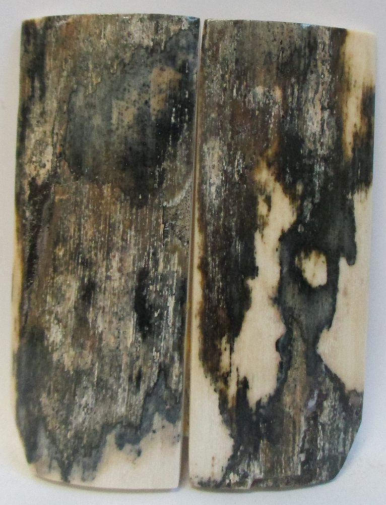 MAMMOTH IVORY SCALES 2-7/8 X 1 X 1/8