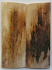 MAMMOTH IVORY SCALES 2-3/8 x 15/16 x 1/8