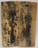 MAMMOTH IVORY SCALES 2-11/16 x 1 x 1/8