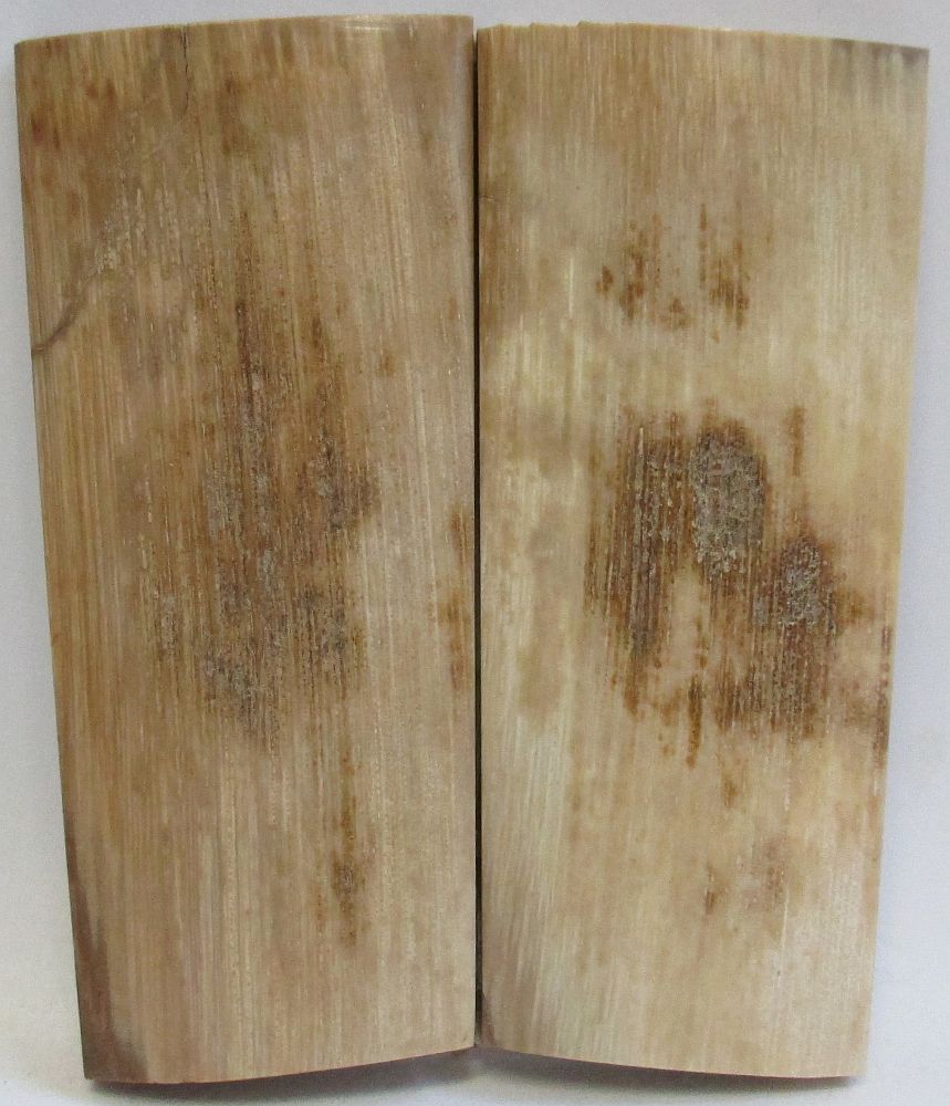 MAMMOTH IVORY SCALES 2-5/8 X 1 X 1/8