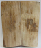 MAMMOTH IVORY SCALES 2-5/8 X 1 X 1/8