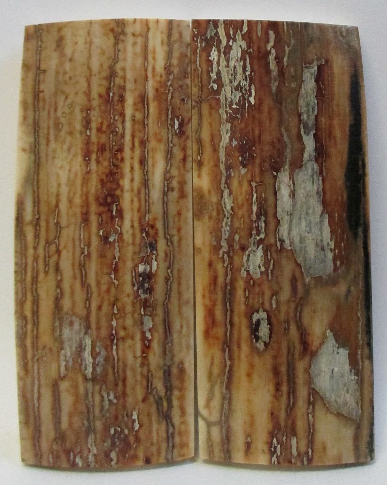MAMMOTH IVORY SCALES 2-5/8 x 1 x 5/32