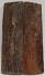 MAMMOTH IVORY SCALES 2-7/8 x 3/4 x 1/8