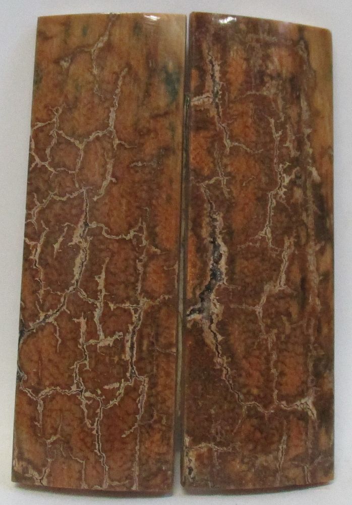 MAMMOTH IVORY SCALES 2-11/16 x 7/8 x 1/16