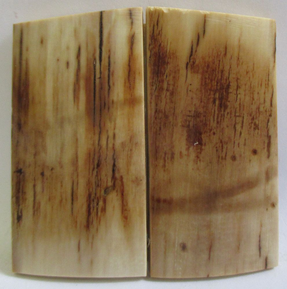 MAMMOTH IVORY SCALES 2-5/16 X 1-3/16 X 5/32