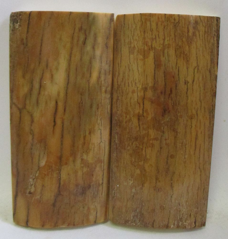 MAMMOTH IVORY SCALES 2-11/16 x 1-1/4 x 1/4
