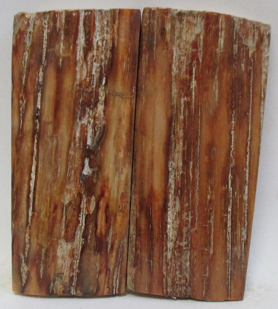 MAMMOTH IVORY SCALES 2-3/8 x 1 x 5/32