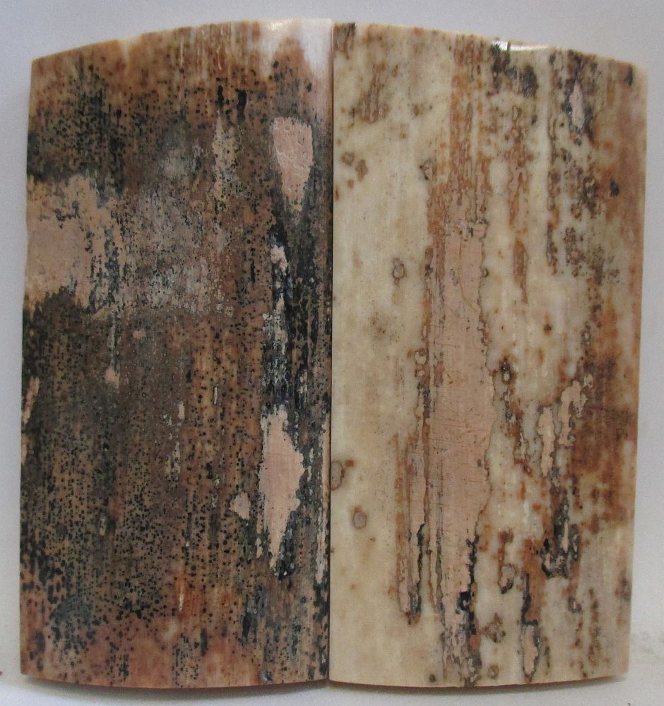 MAMMOTH IVORY SCALES 2-7/16 x 1-3/16 x 7/32