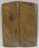 MAMMOTH IVORY SCALES 2-3/4 x 1-1/8 x 3/16