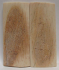 MAMMOTH BONE  3-5/16 X 1-3/8 X 5/32