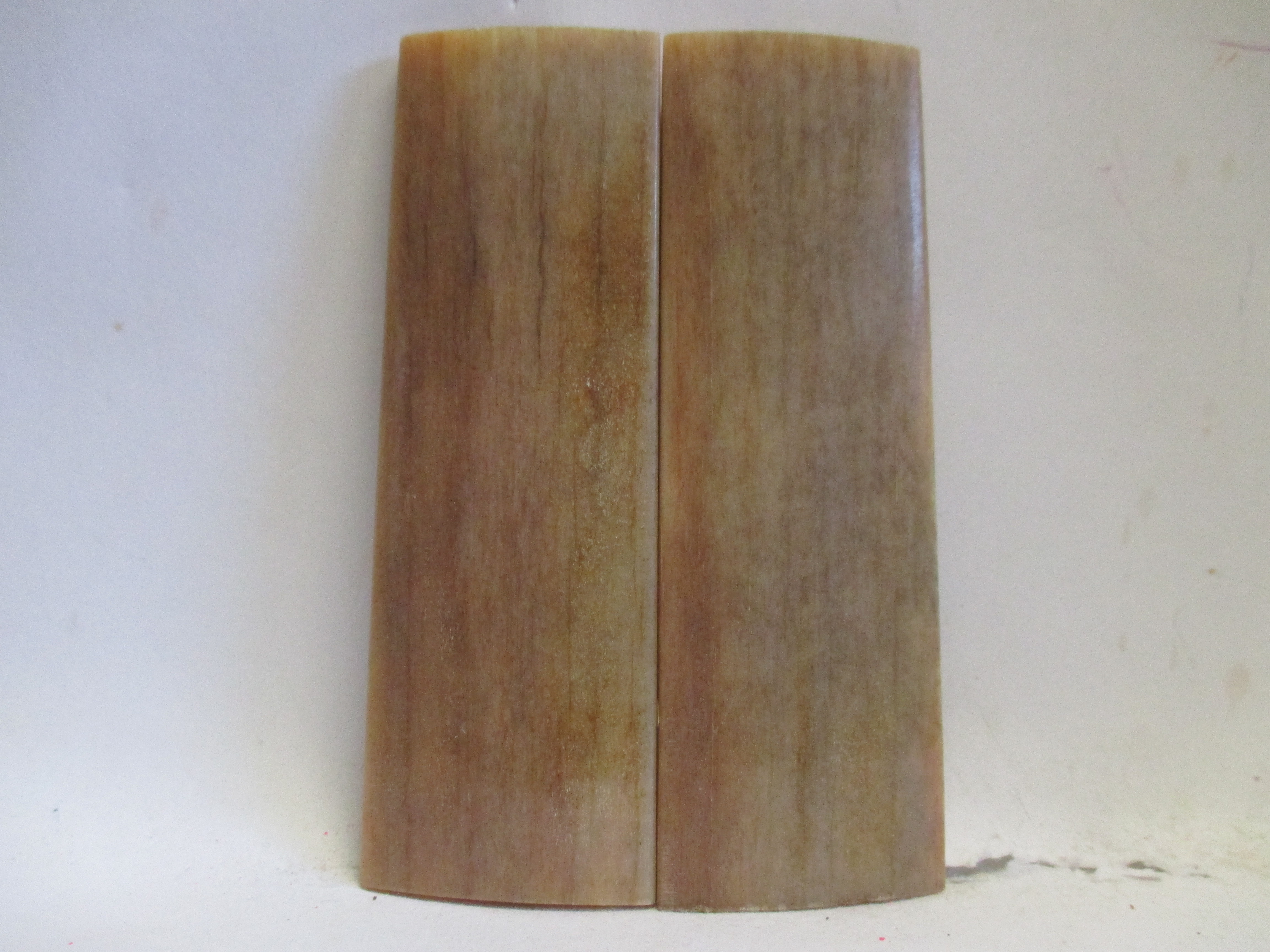 SWORDFISH BILL   3-5/16 X 1-1/16 X 1/16