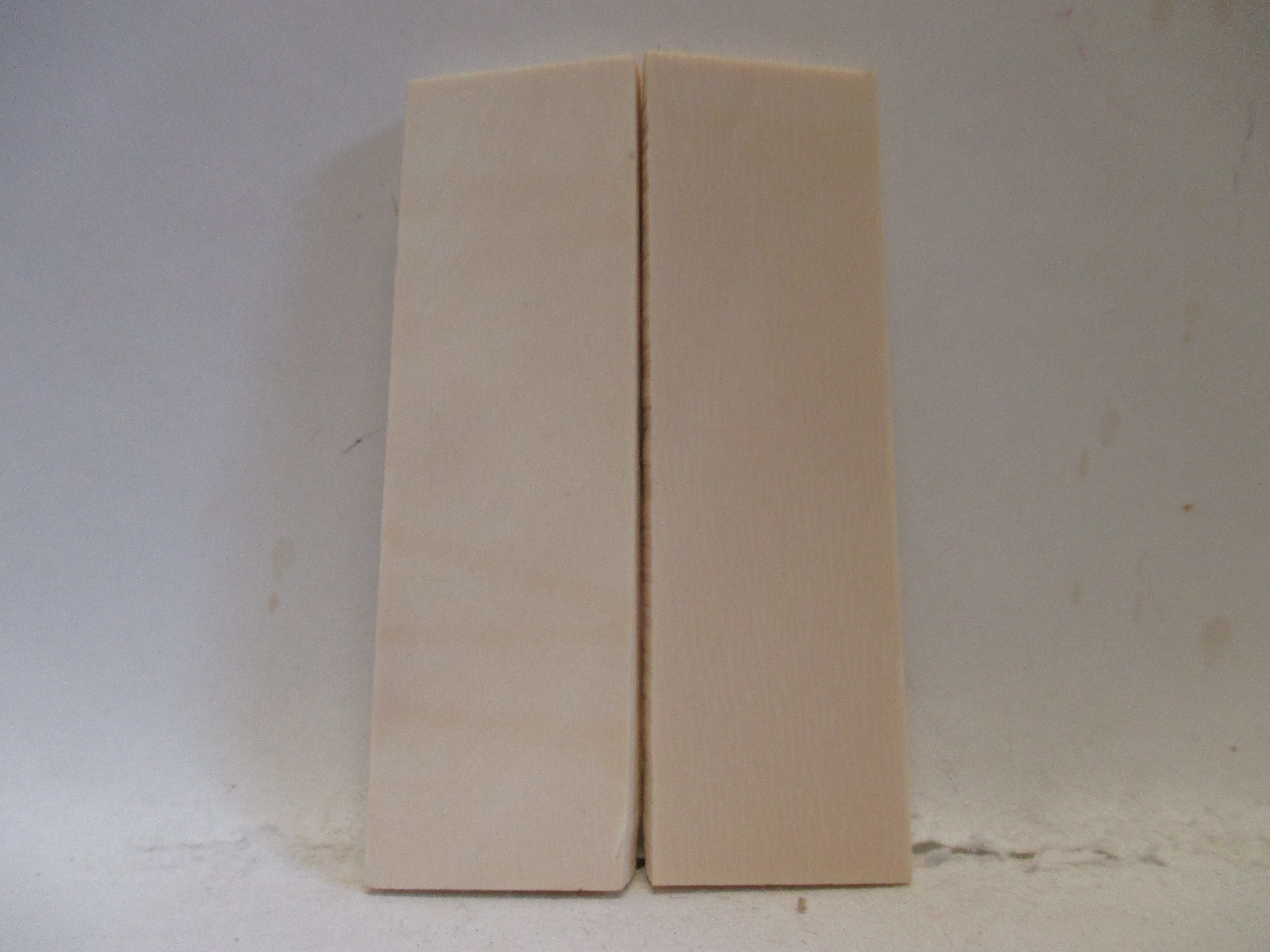 INTERIOR IVORY  2-11/16 X 3/4 X 1/8