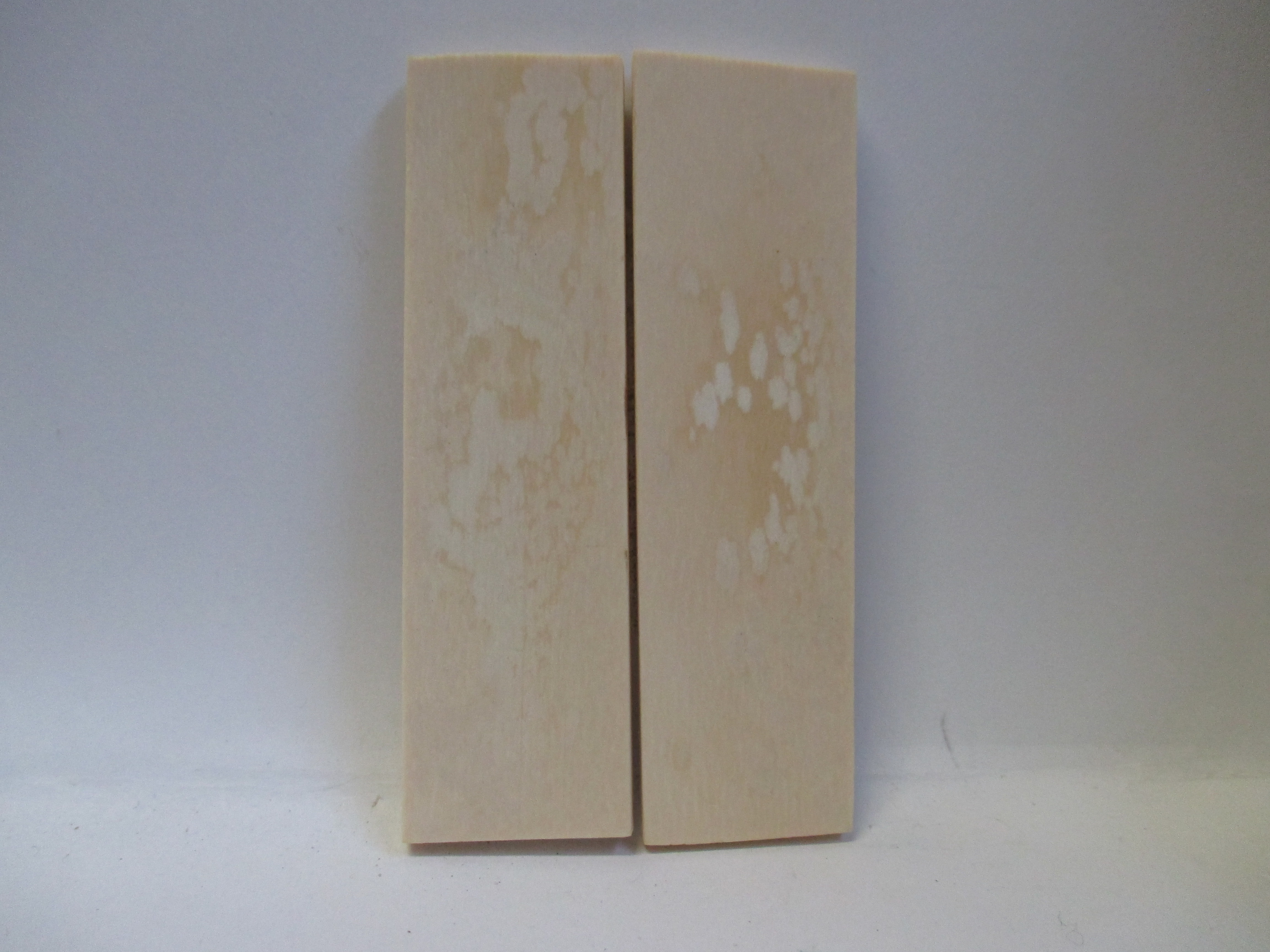 INTERIOR IVORY             2-13/16 X 13/16 X 1/8