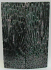 FOSSIL CORAL SCALES              4-7/16 X 1-1/2 X 1/8