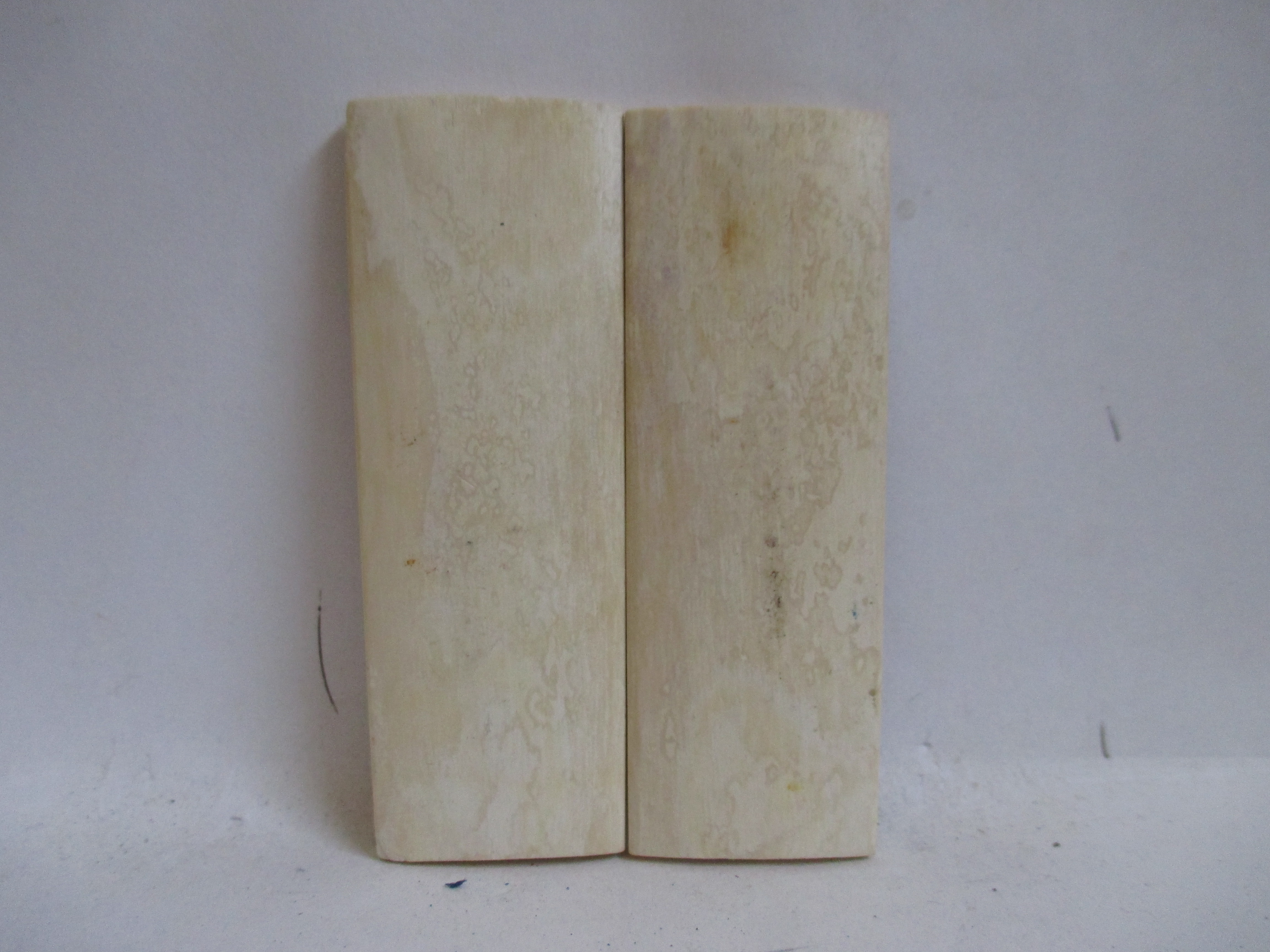 INTERIOR IVORY               2-3/4 X 15/16 X 1/8 