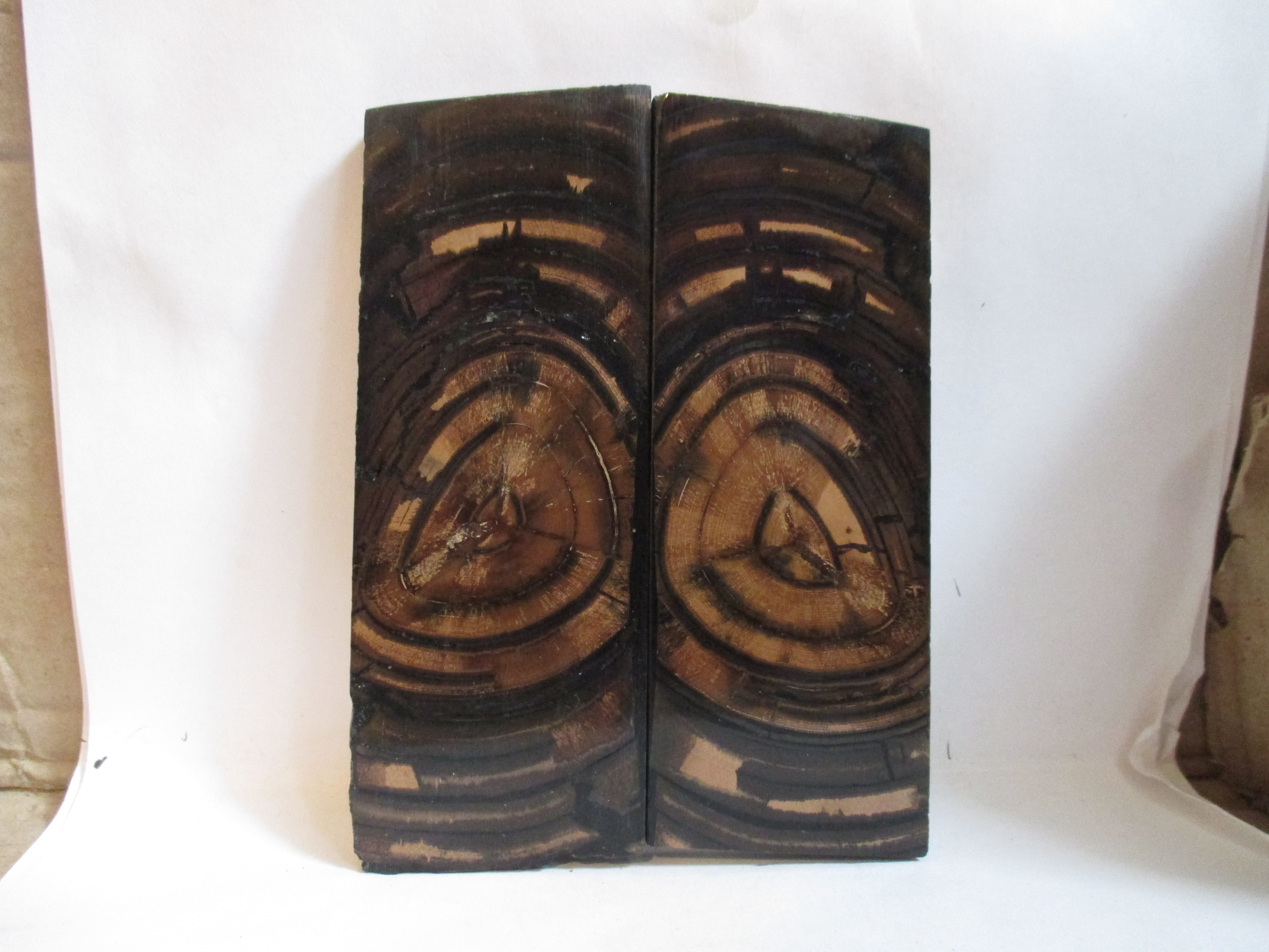 END GRAIN CUT MAMMOTH IVORY                  4-7/8 X 1-13/16 X 1/4