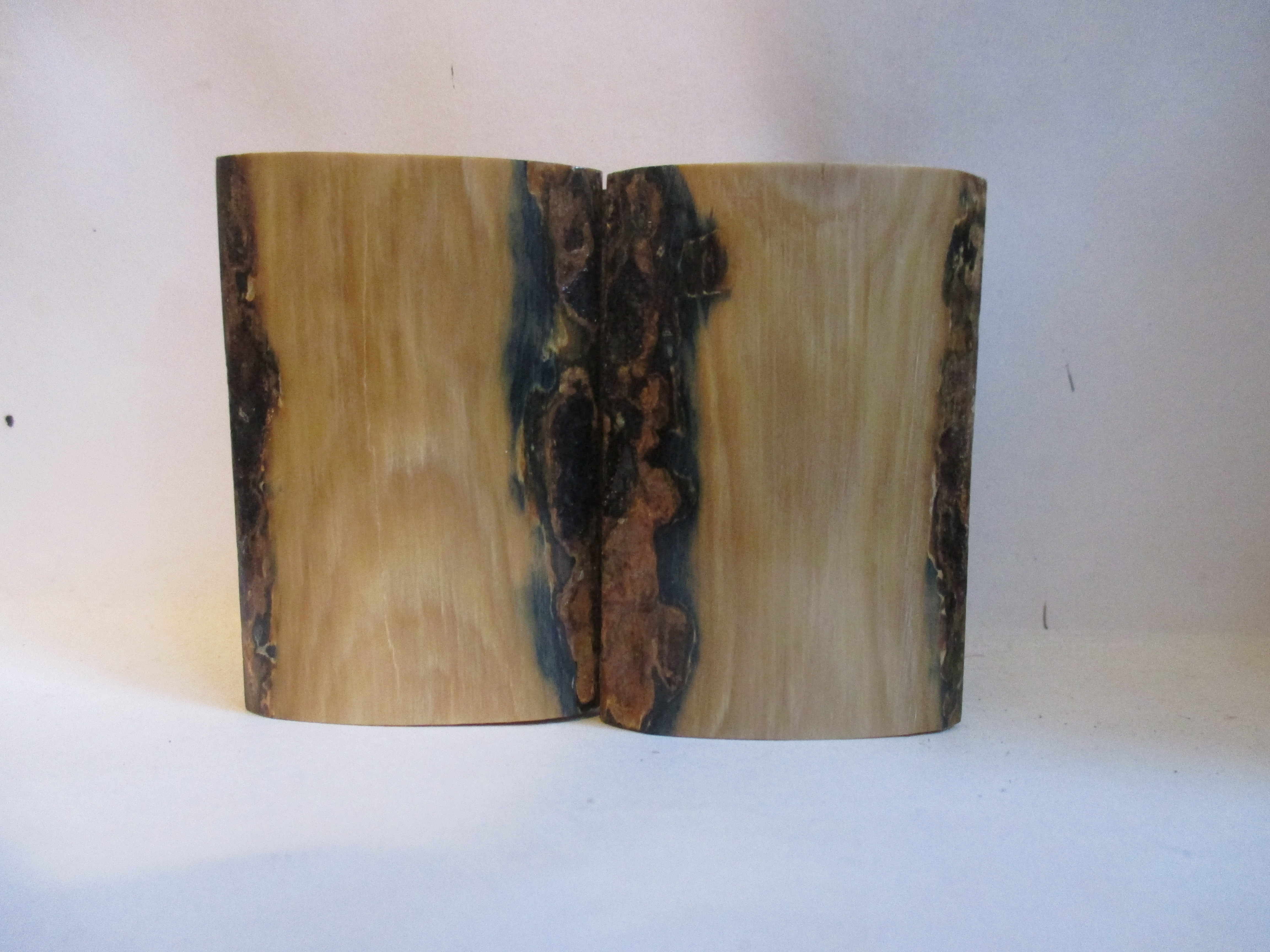  MAMMOTH IVORY SCALES          2-7/16 X 1-5/8 X 5/16
