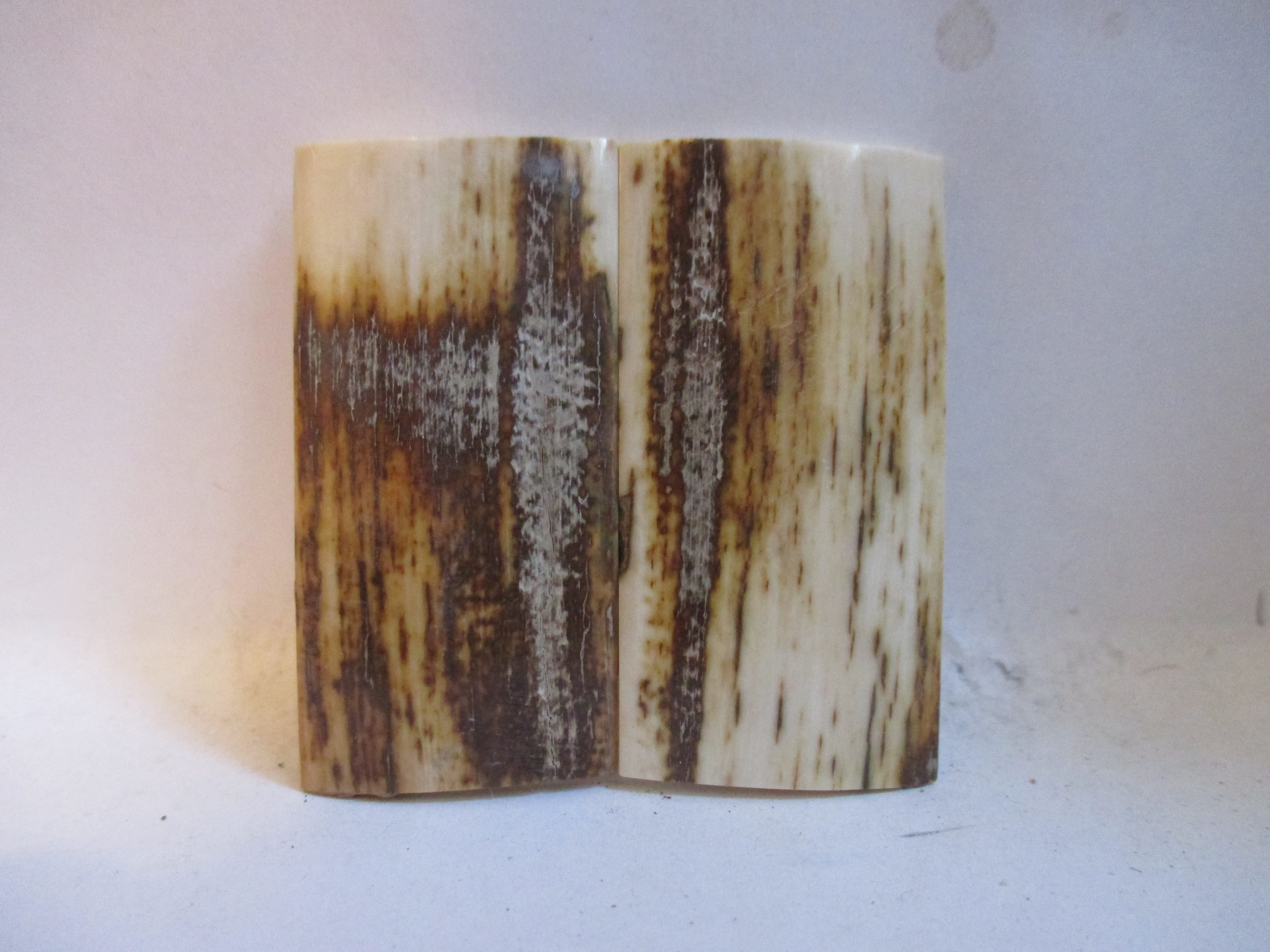  MAMMOTH IVORY SCALES         2-1/16 X 1-1/16 X 1/8 