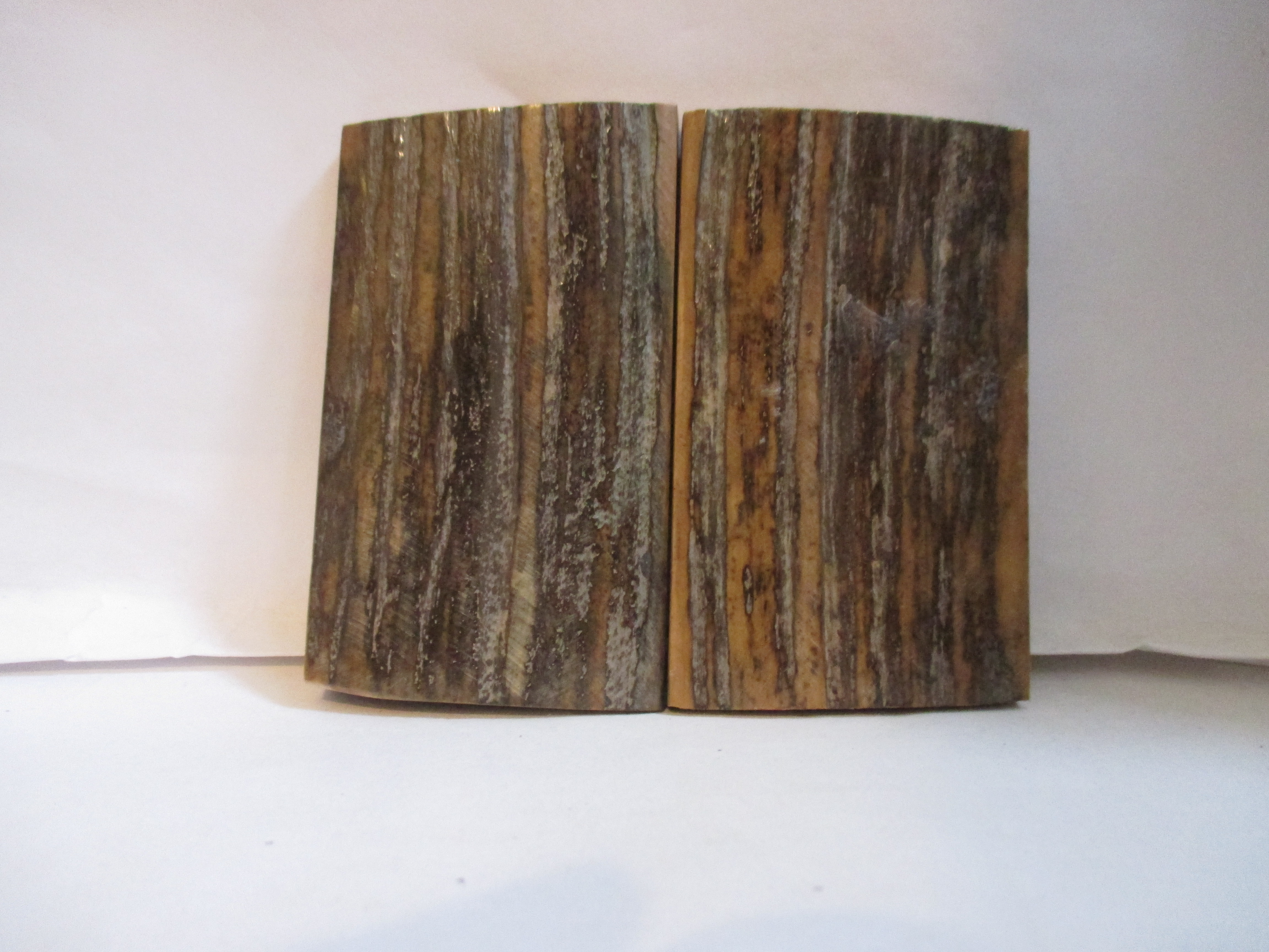  MAMMOTH IVORY SCALES        2-15/16 X 1-3/4 X 1/4