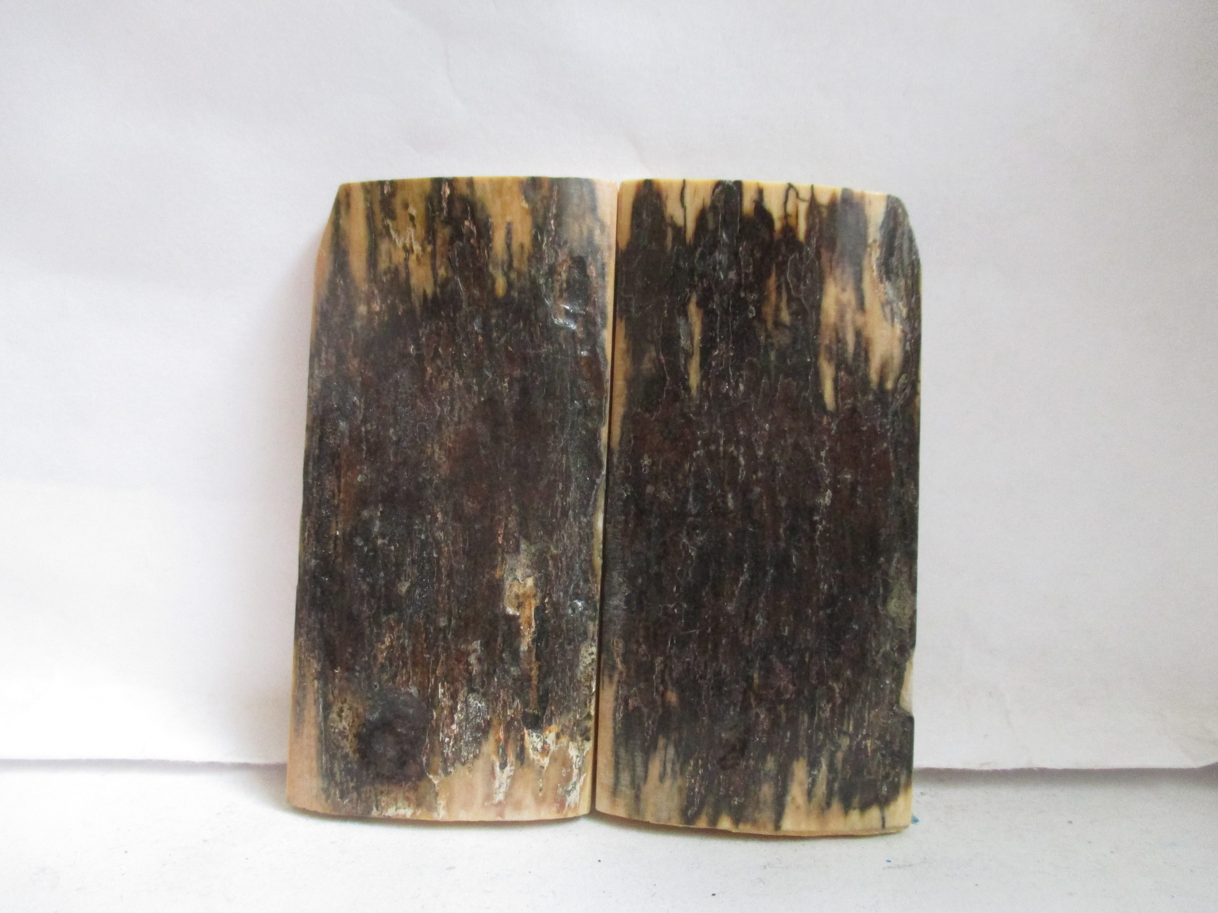  MAMMOTH IVORY SCALES       2-3/8 X 1-3/16 X 5/32