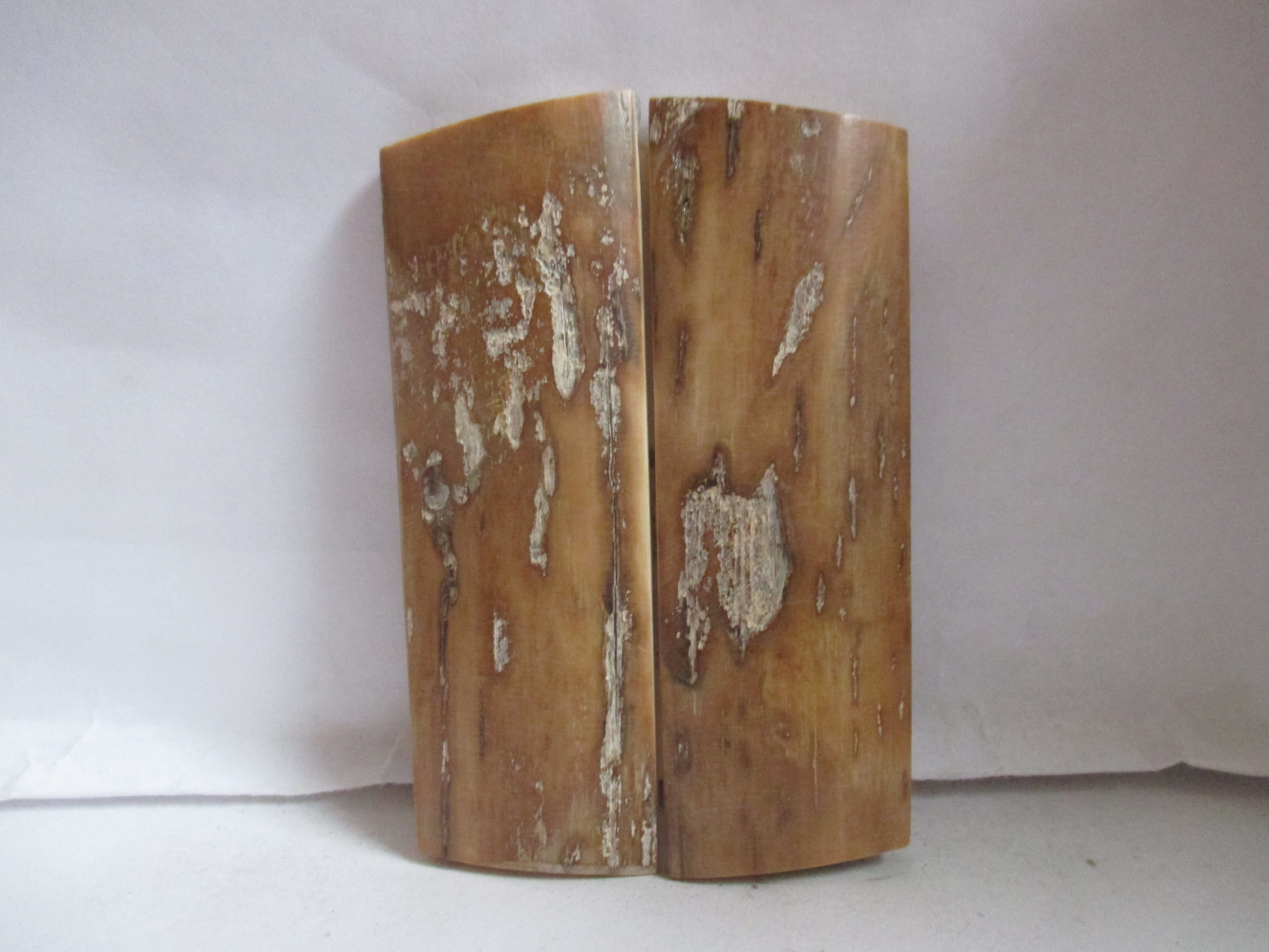  MAMMOTH IVORY SCALES         2-7/8 X 1 X 1/8