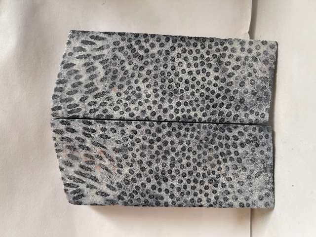 FOSSIL CORAL SCALES               4 tapers X 1-5/8 X 7/32