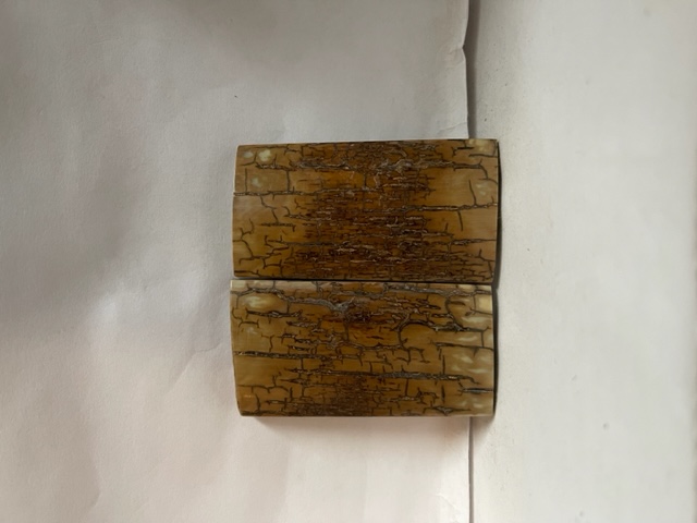  MAMMOTH IVORY SCALES            2-9/16 X 1-3/8 X 5/32